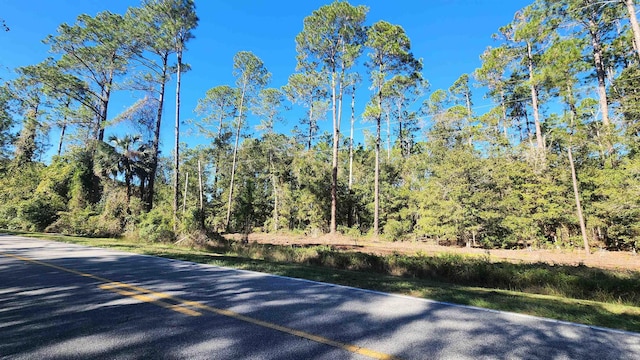 TBD Georgetown Denver Rd, Georgetown, FL 32139