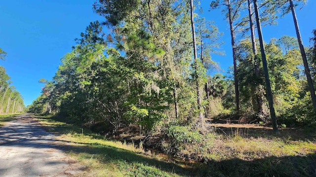 TBD Georgetown Denver Rd, Georgetown, FL 32139