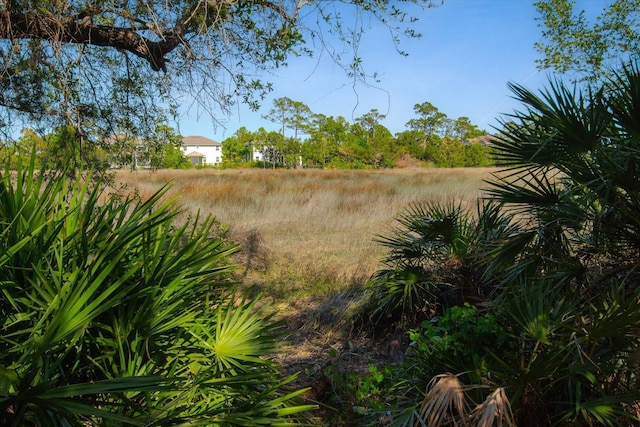3330 Lewis Speedway, Saint Augustine, FL 32084 - view of yard