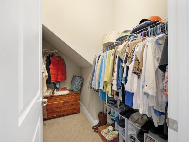 100 Coppinger Pl, Saint Johns, FL 32259 - walk in closet with carpet flooring