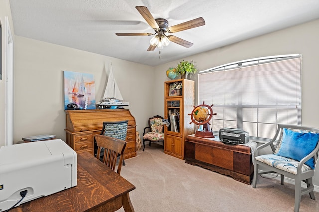 545 Moultrie Wells Rd, Saint Augustine, FL 32086 - photo 26