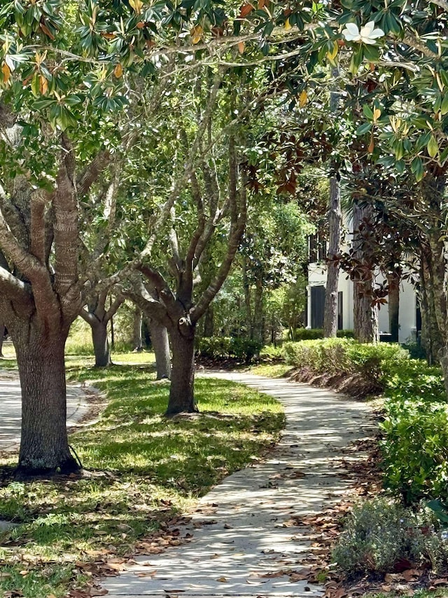 116 Laurel Wood Way Unit 201, Saint Augustine, FL 32086