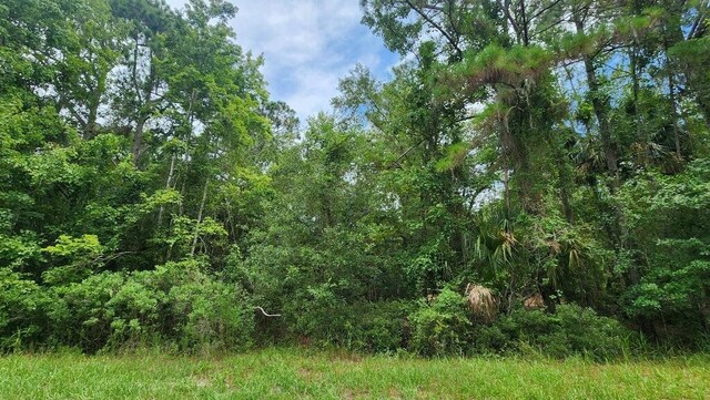 216 Palm Way, Georgetown, FL 32112 - photo 1