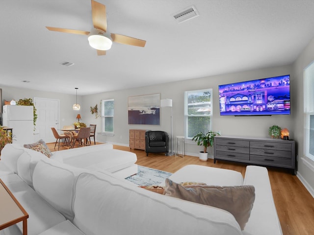 living room with ceiling fan and light hardwood / wood-style floors