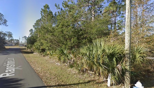3 Ranshire Ln, Palm Coast, FL 32164 - view of asphalt road