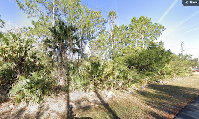 3 Ranshire Ln, Palm Coast, FL 32164 - view of undeveloped land