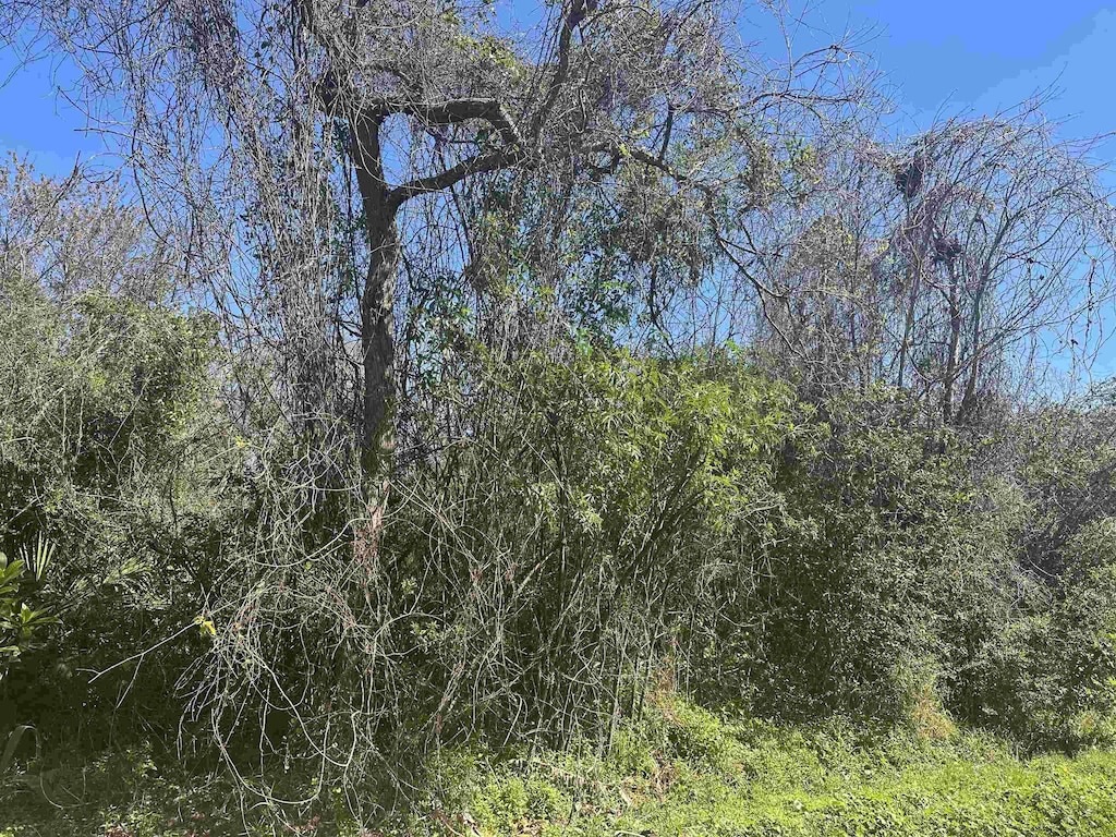 221 Dartmouth Rd, Saint Augustine, FL 32086