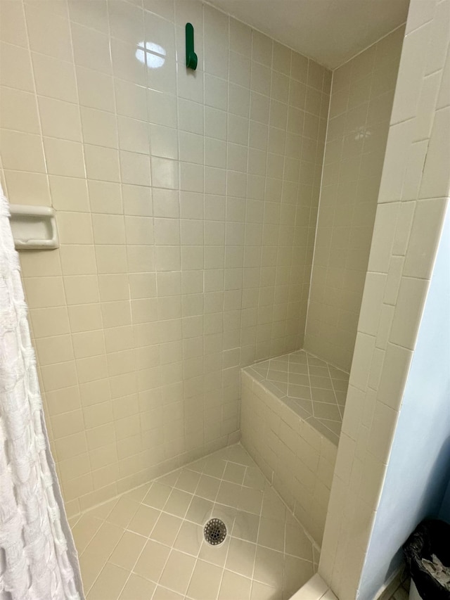 390 A1A Beach Blvd Unit 49, Saint Augustine Beach, FL 32080 - full bathroom featuring tiled shower and tile patterned floors