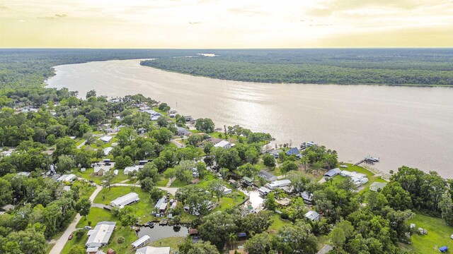 156 Rivershore Dr, San Mateo, FL 32187 - photo 6