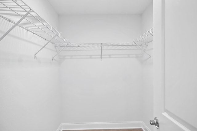 view of walk in closet