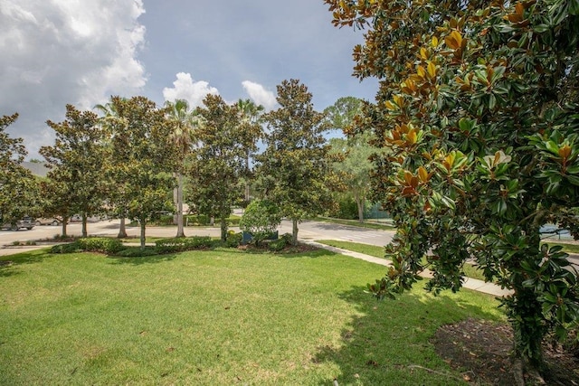 104 Laurel Wood Way Unit 202, Saint Augustine, FL 32086 - view of green lawn