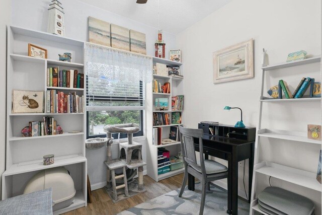 104 Laurel Wood Way Unit 202, Saint Augustine, FL 32086 - office featuring wood finished floors and a ceiling fan