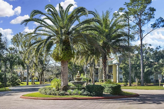 4020 Grande Vista Blvd Unit 204, Saint Augustine, FL 32084 - surrounding community with curved driveway