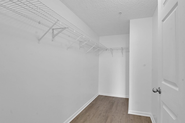 4020 Grande Vista Blvd Unit 204, Saint Augustine, FL 32084 - walk in closet featuring wood finished floors