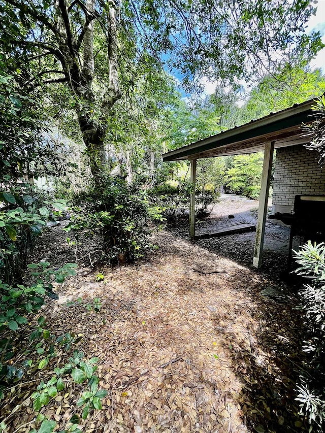 view of yard featuring a carport