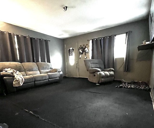 carpeted living area with a healthy amount of sunlight