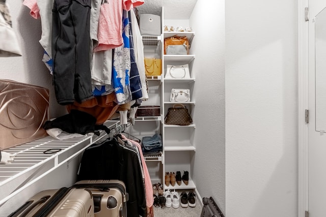 spacious closet featuring carpet floors