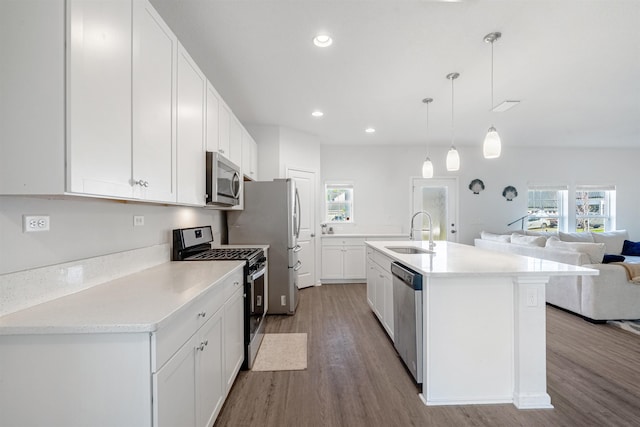 kitchen featuring stainless steel appliances, open floor plan, a sink, and wood finished floors