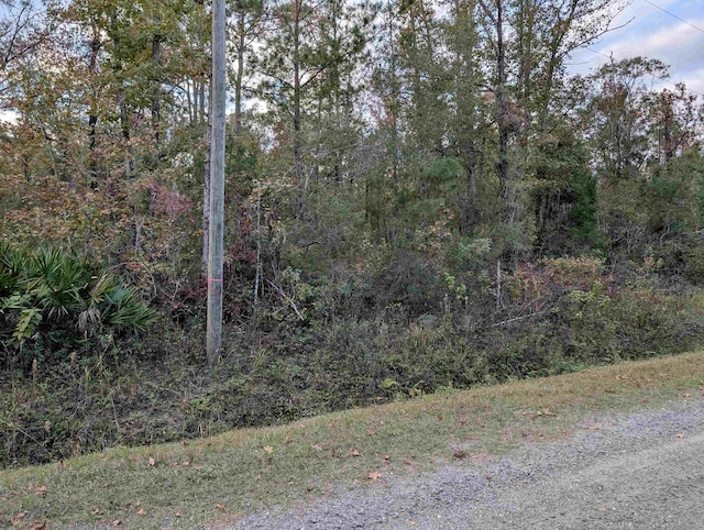 10660 Turpin Ave, Hastings FL, 32145 land for sale