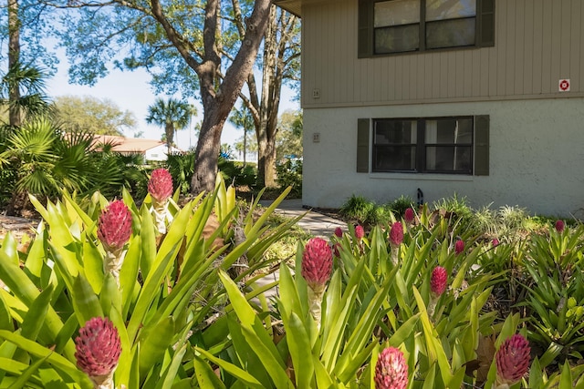 exterior space featuring stucco siding