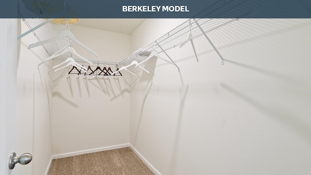 walk in closet with carpet floors