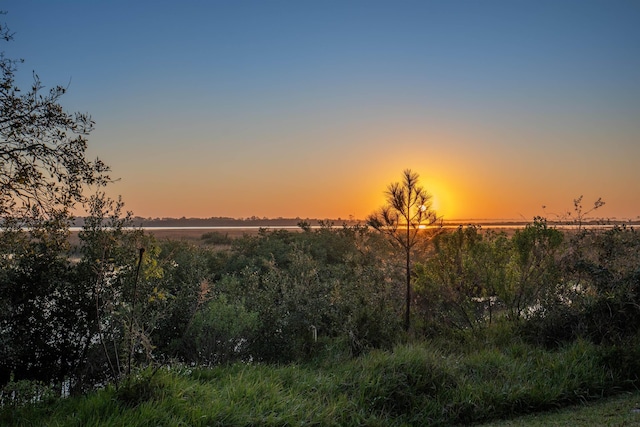 view of nature at dusk