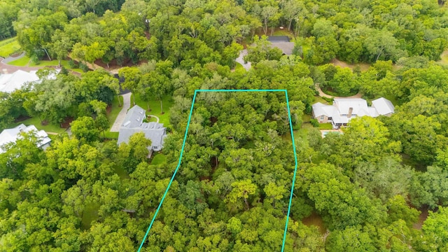 210 Dark Horse Ln, Hastings, FL 32145 - photo 13