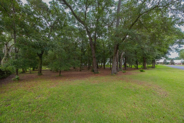 210 Dark Horse Ln, Hastings, FL 32145 - photo 16