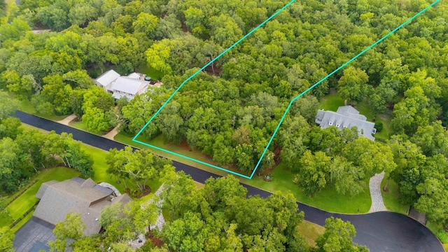 210 Dark Horse Ln, Hastings, FL 32145 - photo 4