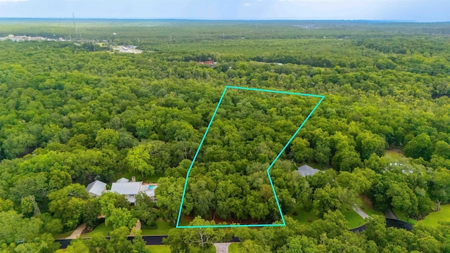 210 Dark Horse Ln, Hastings, FL 32145 - photo 10