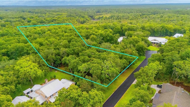 210 Dark Horse Ln, Hastings, FL 32145 - photo 1