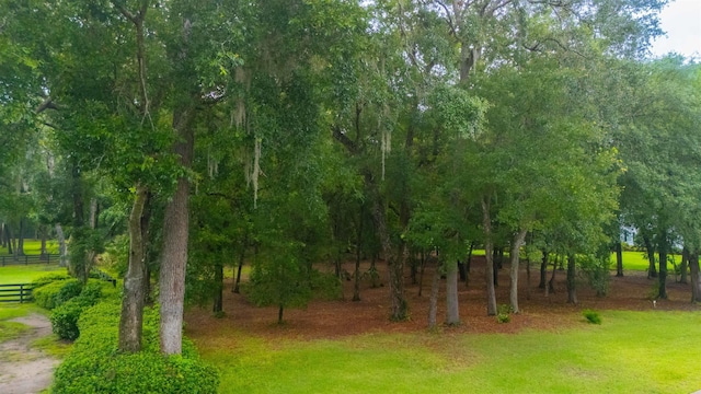 210 Dark Horse Ln, Hastings, FL 32145 - photo 12