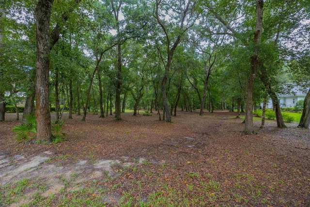 210 Dark Horse Ln, Hastings, FL 32145 - photo 15