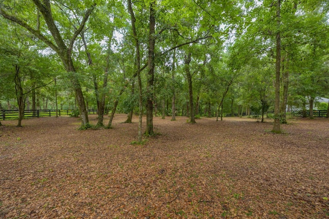 210 Dark Horse Ln, Hastings, FL 32145 - photo 18