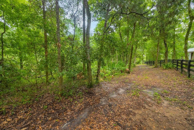 210 Dark Horse Ln, Hastings, FL 32145 - photo 28