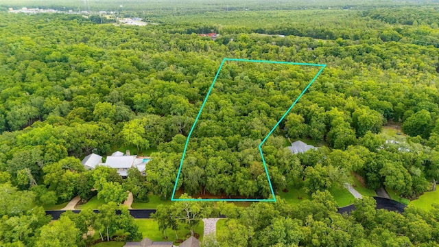 210 Dark Horse Ln, Hastings, FL 32145 - photo 14