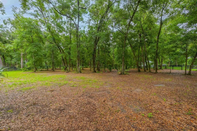 210 Dark Horse Ln, Hastings, FL 32145 - photo 17