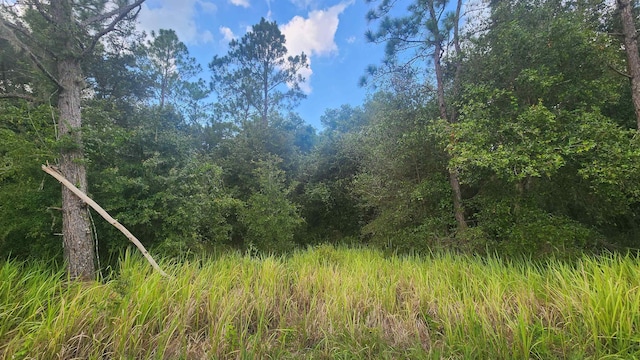 129 Lake View Dr, Pomona Park FL, 32181 land for sale