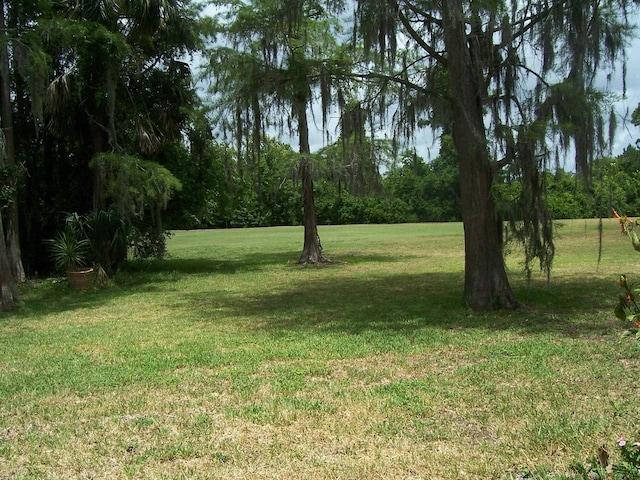 view of green lawn