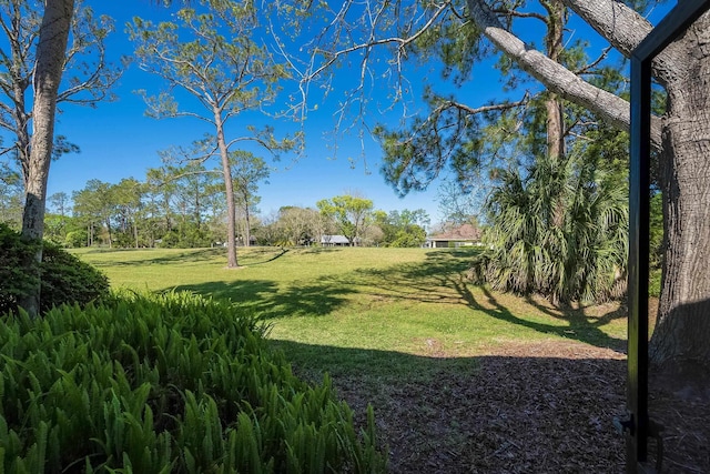view of green lawn