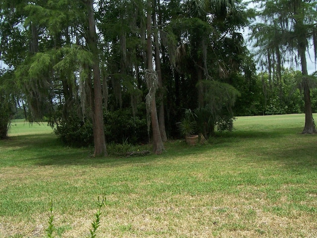 view of green lawn