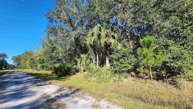 936 Paradise Blvd, Georgetown FL, 32139 land for sale