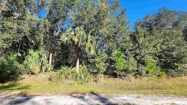 936 Paradise Blvd, Georgetown, FL 32139 - photo 2