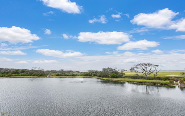 435 N Ocean Grande Dr Unit 104, Ponte Vedra Beach, FL 32082 - water view