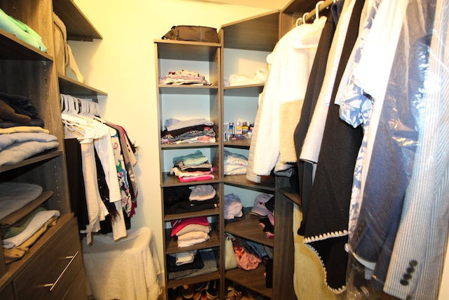 24 Aledo Ct, Saint Augustine, FL 32086 - view of walk in closet