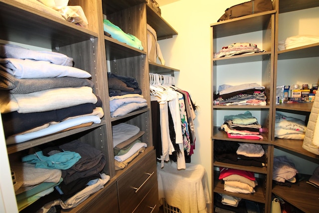 24 Aledo Ct, Saint Augustine, FL 32086 - view of spacious closet