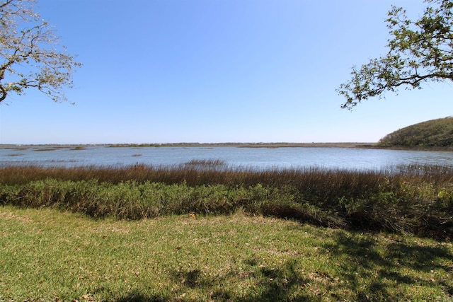 24 Aledo Ct, Saint Augustine, FL 32086 - view of water feature