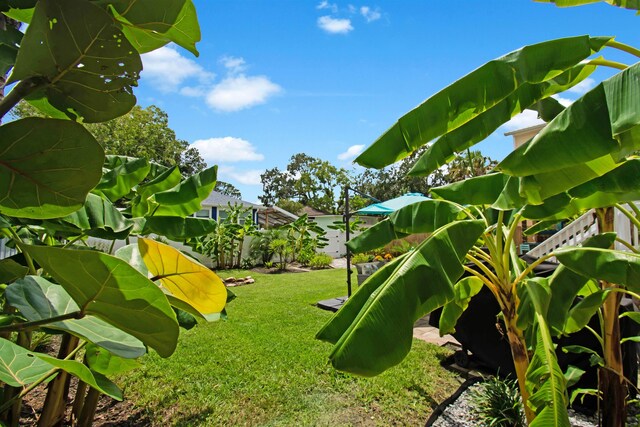 13 Court Edna, Saint Augustine, FL 32084 - view of grassy yard