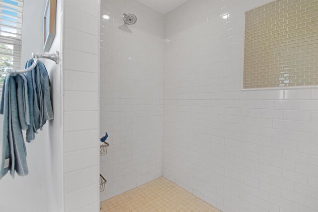 13 Court Edna, Saint Augustine, FL 32084 - bathroom featuring tiled shower