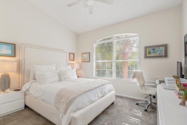 309 Augusta Cir, Saint Augustine, FL 32086 - photo 24